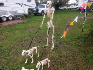 Leftovers from 2014's race...